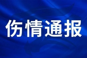 葡萄牙vs西班牙_葡萄牙vs西班牙免费观看_葡萄牙vs西班牙高清无插件直播