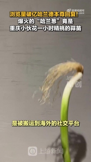 最新青岛海牛VS成都蓉城进球集锦_最新青岛海牛VS成都蓉城进球集锦实时直播_最新青岛海牛VS成都蓉城进球集锦高清流畅观看