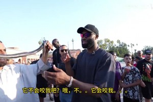 实时葡萄牙vs西班牙在线观看